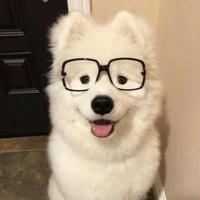 @urmrstra