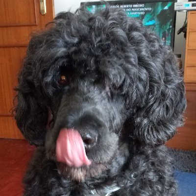 pires_marq34220's profile picture. 