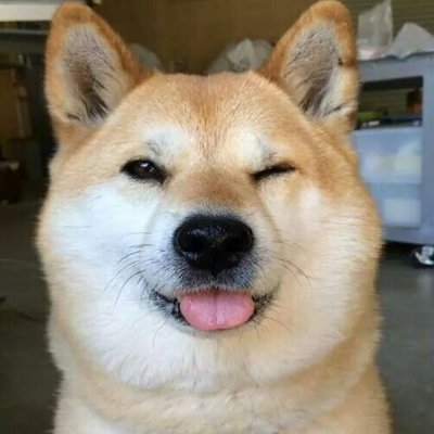 1syyn's profile picture. i code games or something