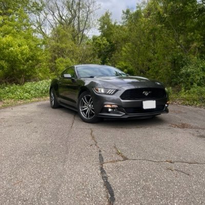 88ryanf's profile picture. 