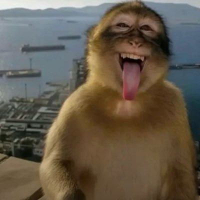 BigOlWood23's profile picture. ONLY ACCOUNT ‼️ 6’3 wit the biggest dick in the WORLD 😮‍💨 Your favorite content creator (Open to Collabs) $10 DM FEE hmu for cashapp