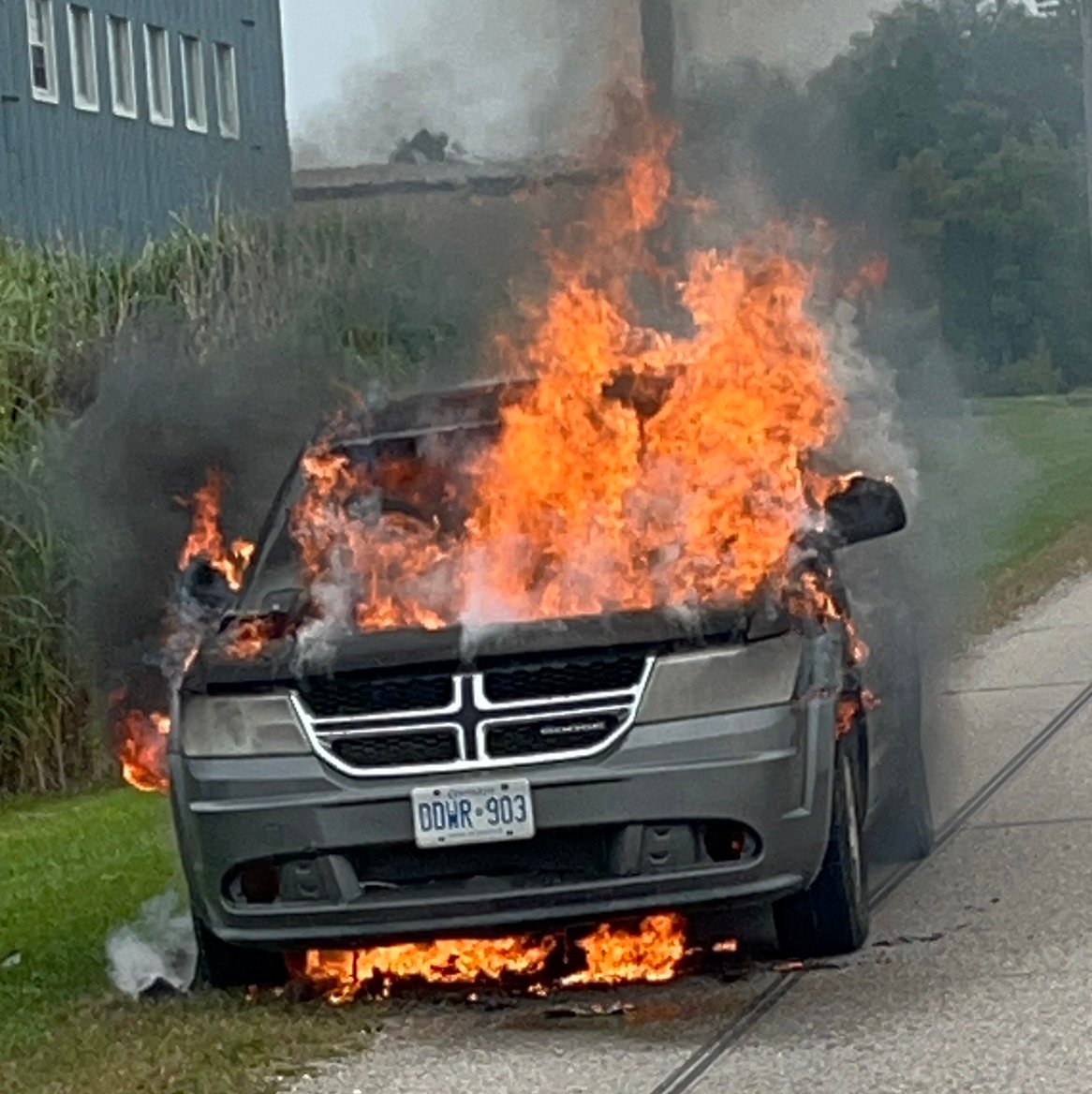 hackback111's profile picture. 