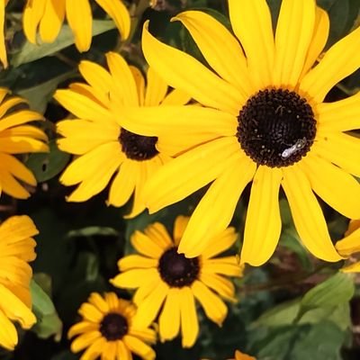 rosey99x's profile picture. Textile artist, writer, standing up for people who have no voice. Don't let the ugly in others kill the beauty in you Free Palestine🔻🔻