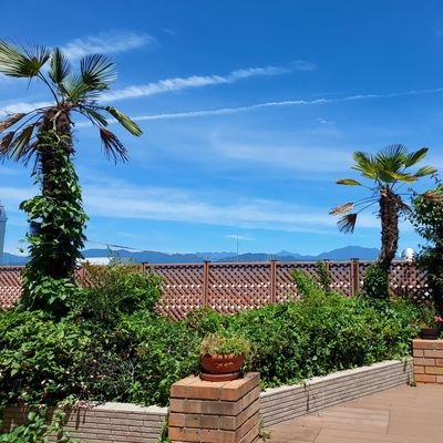 q0FMC9RU5n24570's profile picture. 