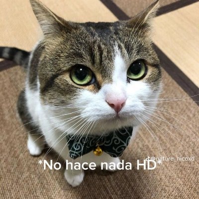 yosoy0rion's profile picture. #venezuelahastaelfinal 🇻🇪🇻🇪

#fanbokunohero

#ilustrador🎨  #novato