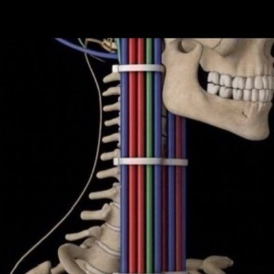 fallguy2137's profile picture. TheBroFromKimDynasty