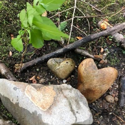 ItsCC_'s profile picture. Loving life...who knew growing up could be so much fun!