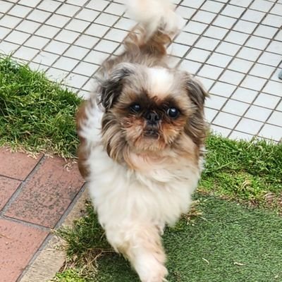 aoshi_617's profile picture. 18↑
落書きをたくさん載せるアカウントです
最推し💜🍀