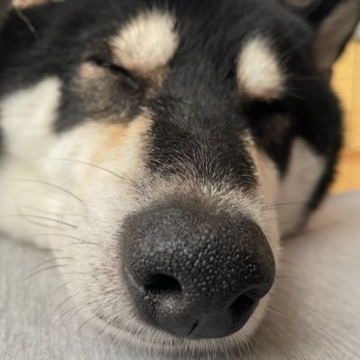 Obzk_art's profile picture. いろんなことをしてる。