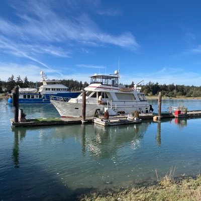 CTurner1422437's profile picture. 