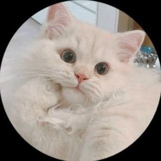 jowkimy_trusted's profile picture. joki here (⁠.⁠ ⁠❛⁠ ⁠ᴗ⁠ ⁠❛⁠.⁠)    -   for your helpful;        makalah📚 jurnal📚 jasa tulis ketik📚 ppt📚 etc.

- WA for fastrespon