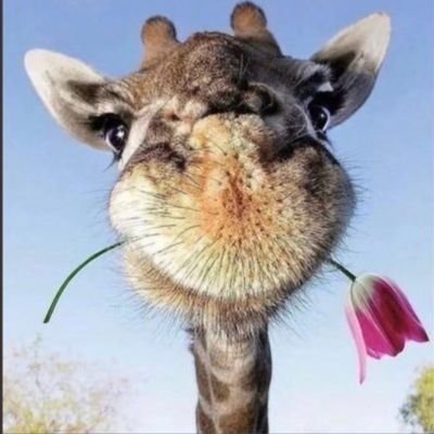 Fatemeh_1320's profile picture. به نام خدا هستم....