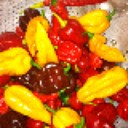 Fred Murillo - @DerfSportsjunkE - Twitter