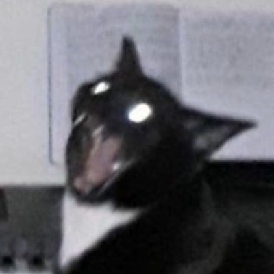 malumpugs's profile picture. *ଘ(੭*ˊᵕˋ)੭* ੈ✩‧₊˚ ⠀⠀⠀⠀⠀⠀⠀⠀⠀⠀⠀⠀⠀ live laugh love seth cohen