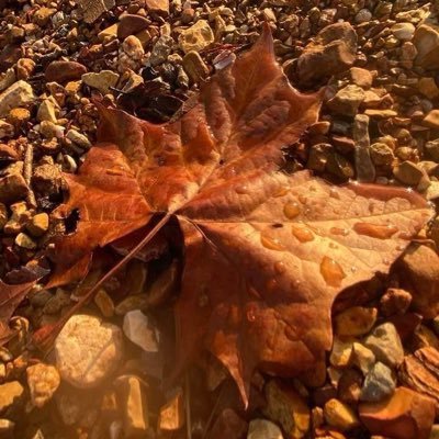 HeartBravoFl's profile picture. Wife & Mom EDS, MCAS, Dystonia, Trigeminal Neuralgia, GP, and etc. Chronic Illness Brain AVM MVD ❤️family! Small business owner! Love Photography & Food!