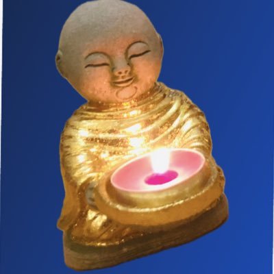 gonegirlisback's profile picture. You can’t talk a butterfly language to caterpillar people.