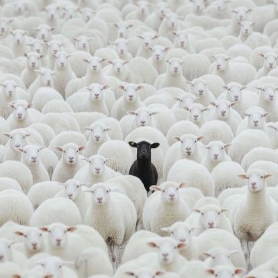 ElOnwuka's profile picture. #IGBO  . Fashion enthusiast, un orthodox ,culture and family .