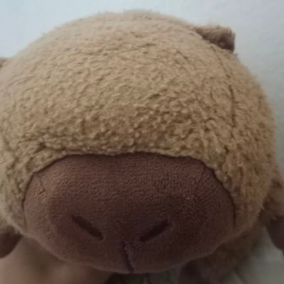 boxback18's profile picture. 