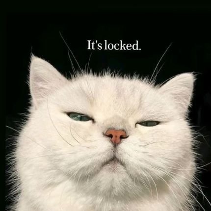 SXYBNDT's profile picture. Yooosshh