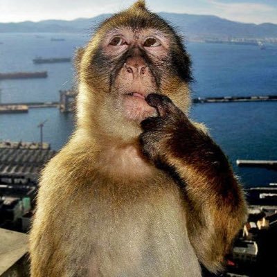 marygielaa's profile picture. 