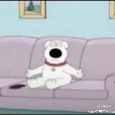 fenjamie1's profile picture. @mp5jamie 18.000€ fn l radiant