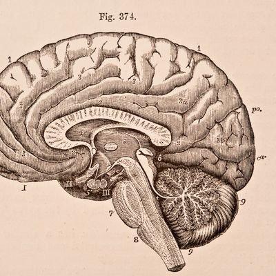 Sizwe_Goba_'s profile picture. Joker, Free thinker, Crazy sometimes, always willing to learn and evolve & I'm  in a serious happy relationship.🥹