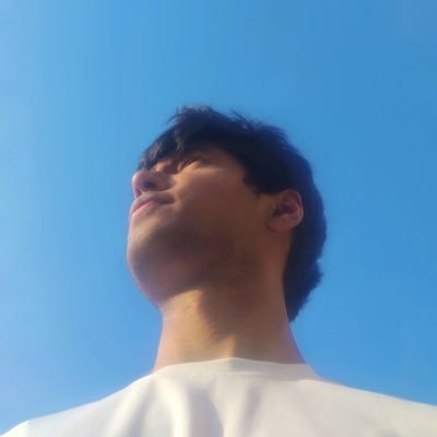 SidharthaGarg's profile picture. 22, chasing for the love of it.