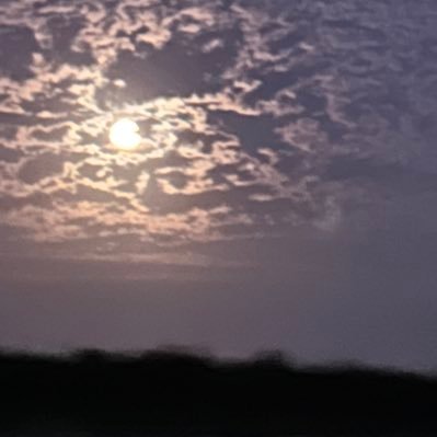 dmartinnaranjo's profile picture. PROFESIONAL DE LA SEGURIDAD Y SALUD LABORAL, MARIDO, PADRE, SCOUT Y LO QUE HAGA FALTA...Todo es mucho más fácil de lo que parece.