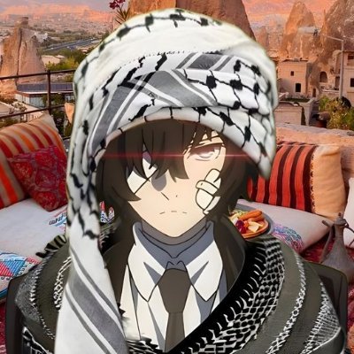 hanzaladotxyz's profile picture. software developer | detox