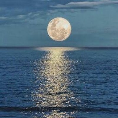 MoussaA88719's profile picture. 