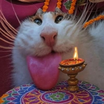 @paapi_billi_