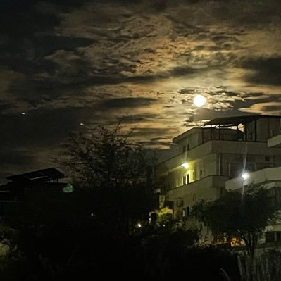 Fricktion111's profile picture. 