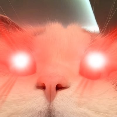phvckitweball's profile picture. fall in love with failure