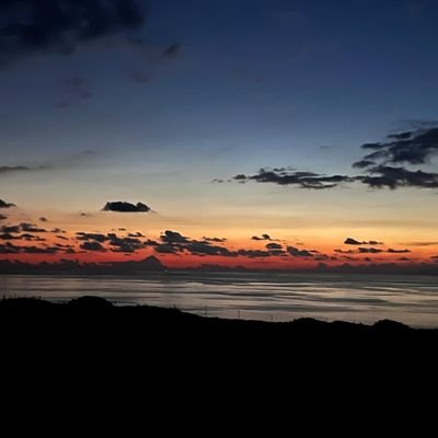 Federicodenata1's profile picture. 