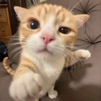 xuiceRBLX's profile picture. 