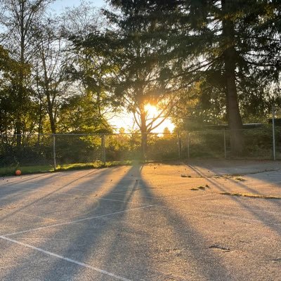 wallstreetelvin's profile picture. 