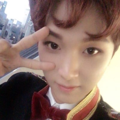 dongbearsun's profile picture. this user exists in honor of mfal haechan