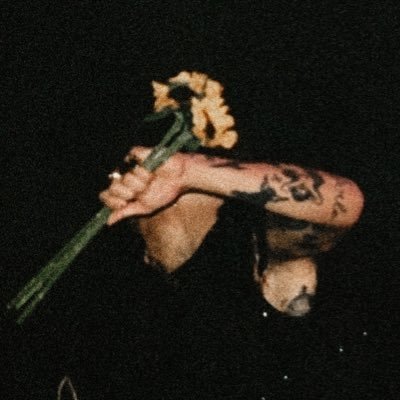 satelliterrrryx's profile picture. I write fics! | Satelliterrrry on Ao3 | @microshortsrry