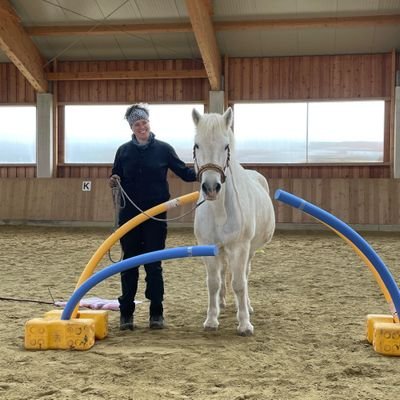 longfacefriends's profile picture. Max - 26 - saddler (no commissions atm) - 2 icelandic horses - they/them
🐴 You might know me from tumblr