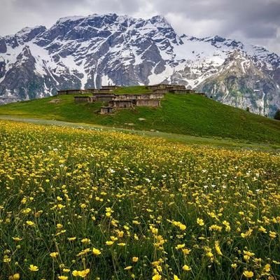 @BaryalaiEsapzai