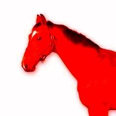 horse60348's profile picture. previously @mo3gster

Priv account @mmegomoegi

#prosaken #dieofrape #rapebloxarg #proshiptwt #comblox