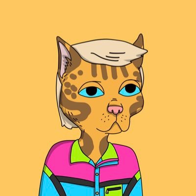 FezBayc's profile picture. 