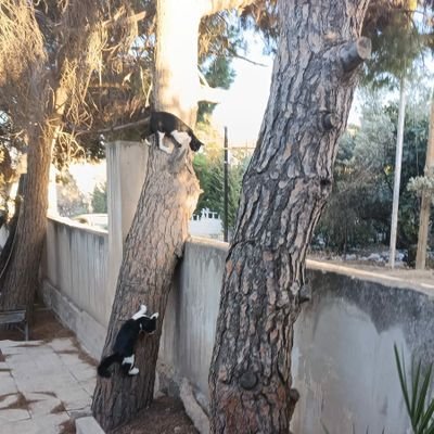 ya12hw's profile picture. 