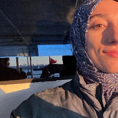 tensorlime's profile picture. it's all just data