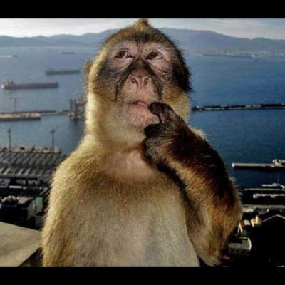 CryptoMalysia's profile picture. Welcome to Spain donde la mayor lacra del pais es la politica.