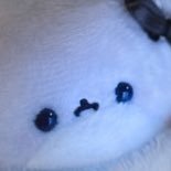 Riii_noy's profile picture. 