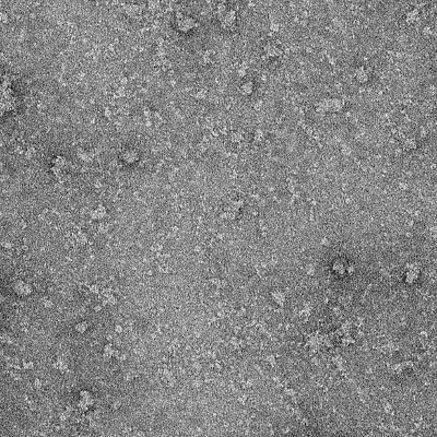 DhondtWa's profile picture. PhD student experimental and computational structural biology (@InflamResCen, CMM @UGent).