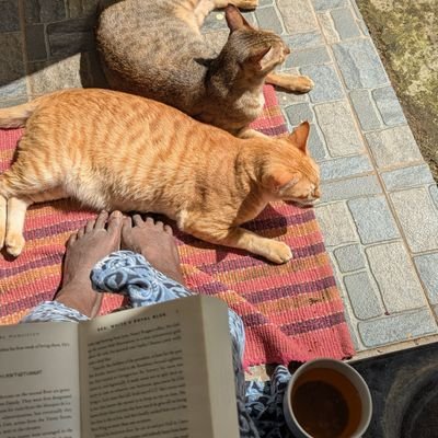 sreeisfree's profile picture. I always thought I was a dog person. I have two cats now. follow for dichotomy 😌