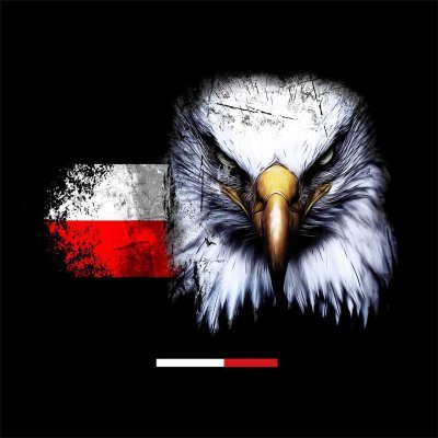PolZbyszek's profile picture. Nie dla wojny.  Geopolityka i gospodarka. Katolik.