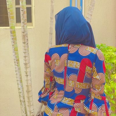 ayomide54733's profile picture. # pythonNewbie, # 100Daysofcode l Future web Dev 💻